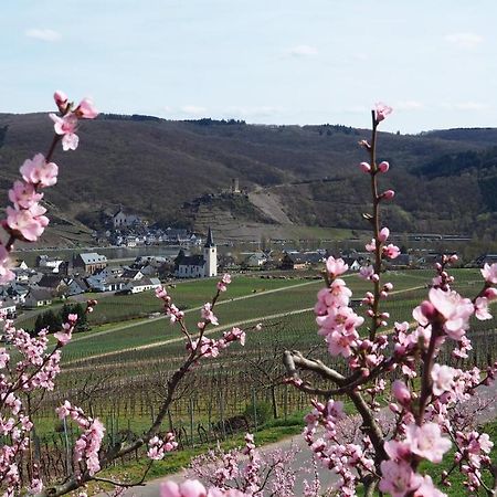 Gästehaus Preuss Ellenz-Poltersdorf Exterior foto
