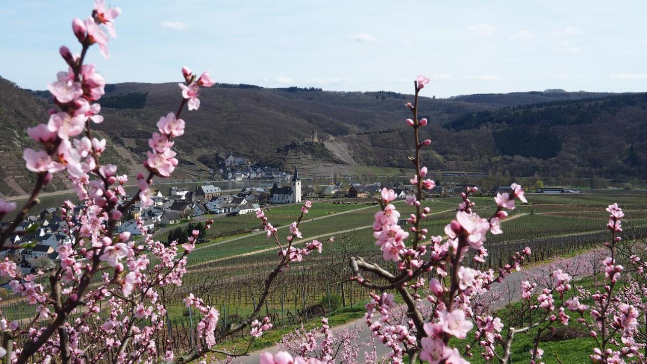 Gästehaus Preuss Ellenz-Poltersdorf Exterior foto